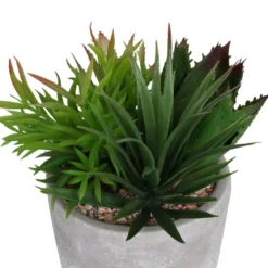 Mixed Succulent In Grey Pot -Lifetime Sales 12909503 1064869235639350
