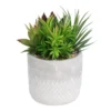 Mixed Succulent In Grey Pot 2 Mixed Succulent In Grey Pot -Lifetime Sales 12909503 7774869235513008