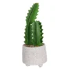 Cactus In Textured Pot -Lifetime Sales 12909506 1524869235473324