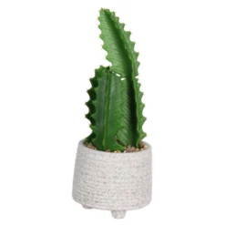 Cactus In Textured Pot -Lifetime Sales 12909506 2004869235513296