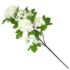 Viburnum - White -Lifetime Sales 12913557 8544866647480637