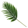 Mini Palm Leaf -Lifetime Sales 12913558 1824845851861505