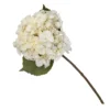 Hydrangea - Creamy Blush -Lifetime Sales 12913562 7914845851793924