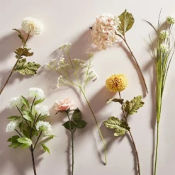 Rose - Light Peach -Lifetime Sales 12913567 8584857400384818