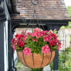 Saxon Hanging Basket - 14 Inch -Lifetime Sales 12940767 2704906244294919