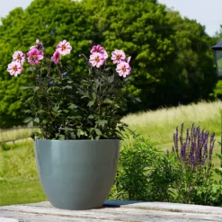 Chiswick Egg Pot Grey 35cm -Lifetime Sales 13176830 9294953205041510