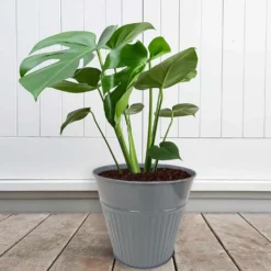 Ribbed Planter (3 Colour Mix) - 18cm -Lifetime Sales 13193953 1834933504482486