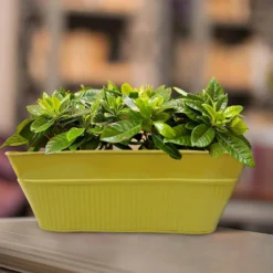 Ribbed Trough Planter Mix - 40cm 17 Ribbed Trough Planter Mix - 40cm -Lifetime Sales 13193959 8694904495671113