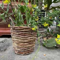 Natural Weave Round Garden Planter 20cm -Lifetime Sales 13204837 1354951328938494