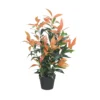 Artificial Photinia Tree - H80cm -Lifetime Sales 13205512 1464916398261812