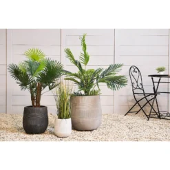 Liam Round Stripe Planter - Medium -Lifetime Sales 13222482 5264929320817351