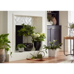 Perla White Plant Pot - 24cm -Lifetime Sales 13432920 7464948242971850