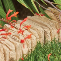 Stylish Stone Daleside Coping/Edging - Gold (Full Pack) -Lifetime Sales 13452038 2134930093461939