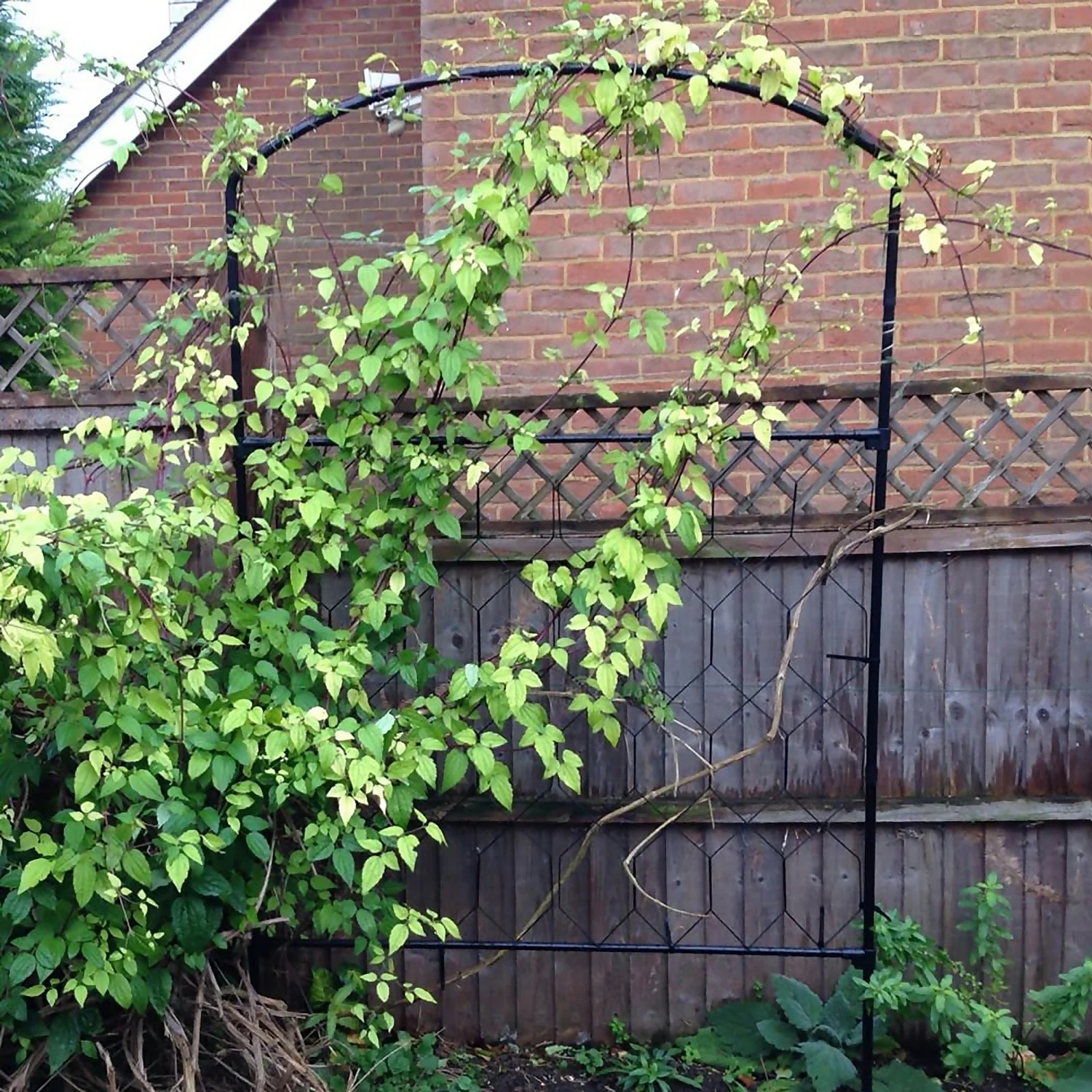 Agriframes Monet Garden Screen - W 90cm X H 1.5m - Black 4 Agriframes Monet Garden Screen - W 90cm X H 1.5m - Black - Image 2