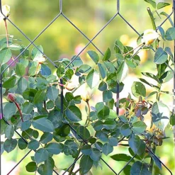 Agriframes Byzantine Garden Screen - W 1.2m X H 2.3m - Black -Lifetime Sales 13526231 1524974422531619