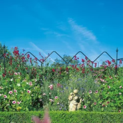 Agriframes Alpine Garden Screen - W 1.2m X H 1.7m - Black -Lifetime Sales 13526232 1374974424239918