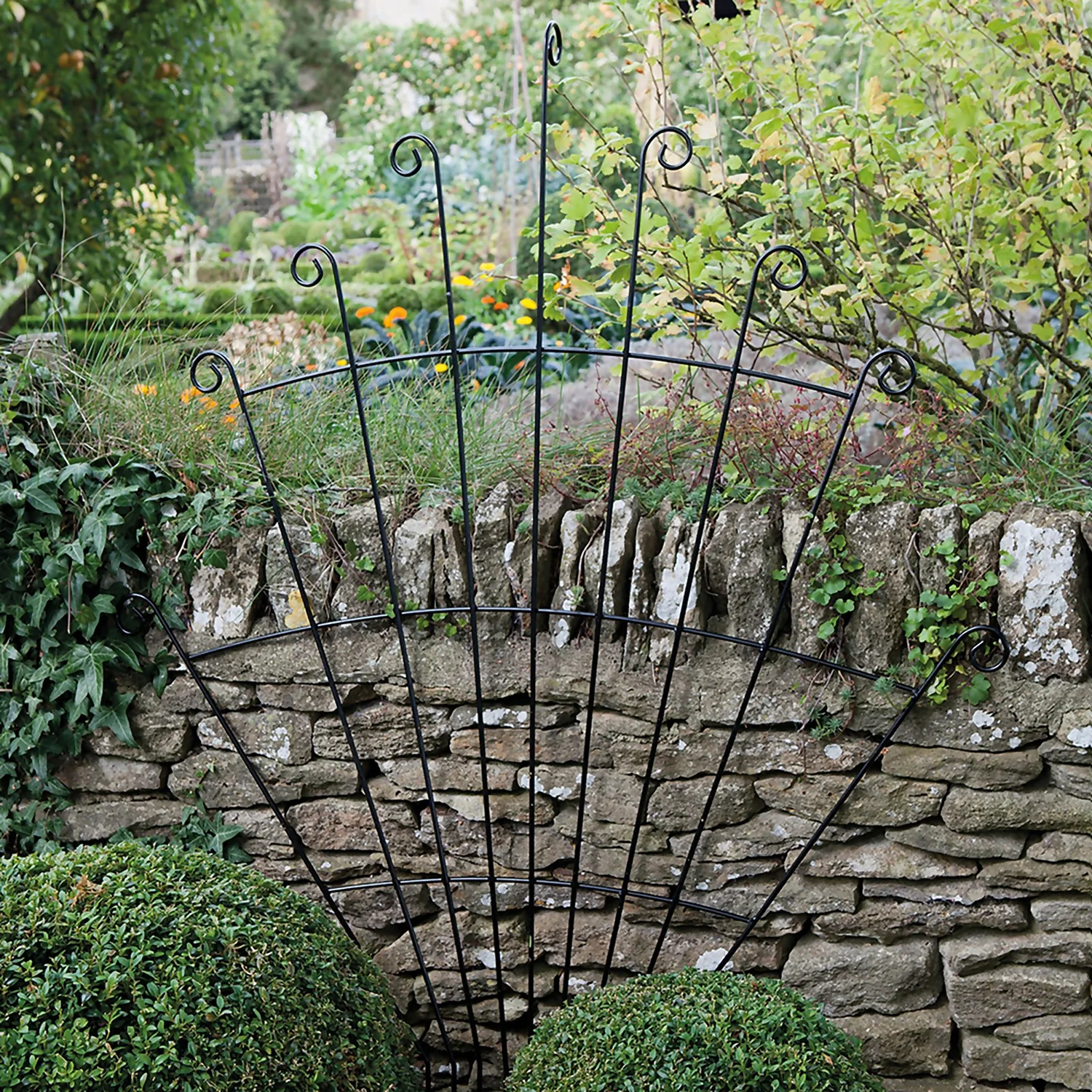 Agriframes Peacock Garden Trellis - W 1m X H 1.25m - Black 4 Agriframes Peacock Garden Trellis - W 1m X H 1.25m - Black - Image 2