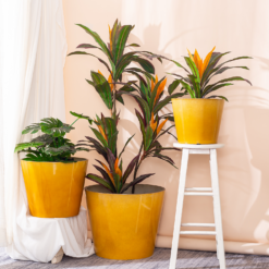 Glazed Finish Planter Mustard 40cm 12 Glazed Finish Planter Mustard 40cm -Lifetime Sales 13928632 1075001956273763