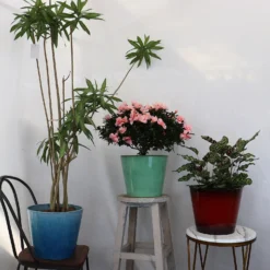 Glazed Finish Planter Mustard 40cm 13 Glazed Finish Planter Mustard 40cm -Lifetime Sales 13928632 3495001956393211