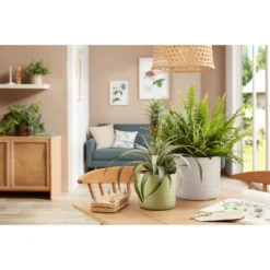 Scheurich Ripple White Indoor Pot - 12cm -Lifetime Sales 13953257 1174987119823002