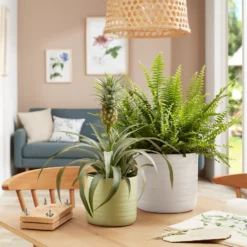 Scheurich Ripple White Indoor Pot - 17cm -Lifetime Sales 13953259 1184987120201059