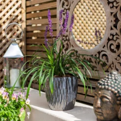 Chiswick Textured Pot Black - 24cm -Lifetime Sales 13973635 6165011239151584