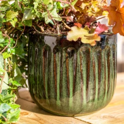 Chiswick Running Pot Green - 30cm -Lifetime Sales 13973644 1165011242627159