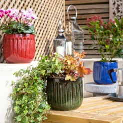 Chiswick Running Pot Green - 30cm -Lifetime Sales 13973644 3415011242646731