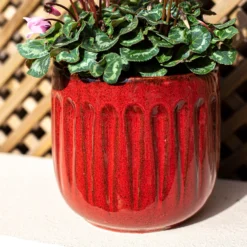 Chiswick Running Pot Red - 30cm -Lifetime Sales 13973649 6595011242826425