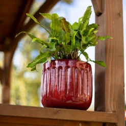 Chiswick Running Pot Red - 30cm -Lifetime Sales 13973649 7005011242786438