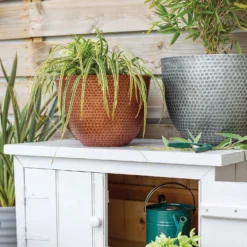 New Products -Lifetime Sales 13973652 1145011805950221