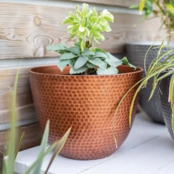 Suva Hammered Pot Copper - 38cm 11 Suva Hammered Pot Copper - 38cm -Lifetime Sales 13973653 2035011805987649