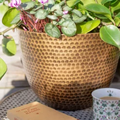 Suva Hammered Pot Bronze - 31cm -Lifetime Sales 13973654 7605011805627355