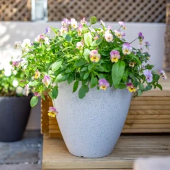 Pinto Egg Pot Beige - 37cm -Lifetime Sales 13973673 9145011238755827