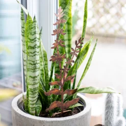 Floral Bronze Ground Stakes - 45cm (Assorted Designs) -Lifetime Sales 13981009 1695005324721013