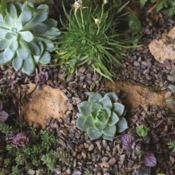 Stylish Stone Horticultural Washed Gravel Midi Bag -Lifetime Sales 13996136 6285013107279580