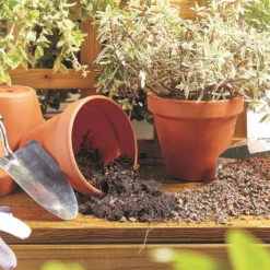 Stylish Stone Horticultural Potting Grit Midi Bag -Lifetime Sales 13996142 1135013107278542