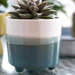 Two Tone Ombre Indoor Plant Pot - 12cm -Lifetime Sales 14197407 8595024191498422