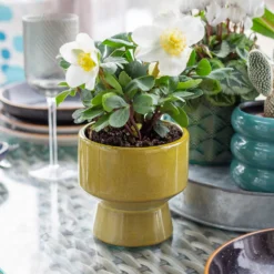 Chamfered Indoor Plant Pot - 13cm -Lifetime Sales 14197408 1605024191451436