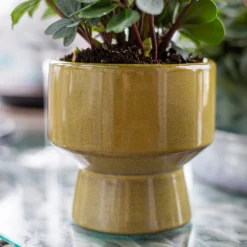 Chamfered Indoor Plant Pot - 13cm -Lifetime Sales 14197408 1935024191546788