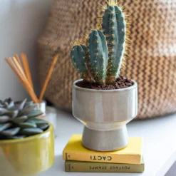 Chamfered Indoor Plant Pot - 13cm -Lifetime Sales 14197408 4575024191304589