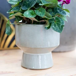 Chamfered Indoor Plant Pot - 13cm -Lifetime Sales 14197408 5435024191504467
