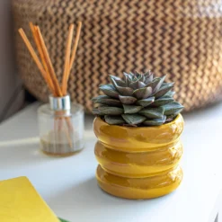 Ribbed Indoor Plant Pot - 11cm -Lifetime Sales 14197409 1165024191339590