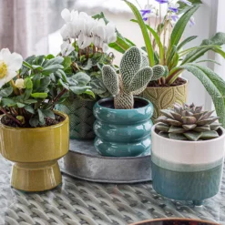 Ribbed Indoor Plant Pot - 11cm -Lifetime Sales 14197409 2095024191435674